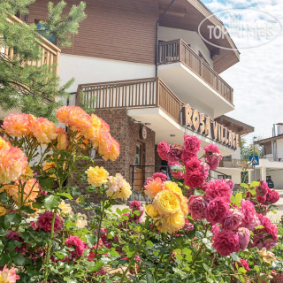 Фото отеля Rosa Village Hotel