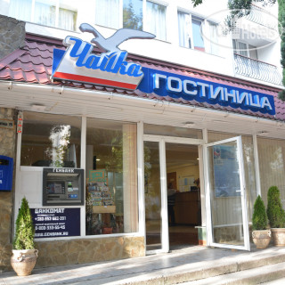 Фото отеля Чайка 2*