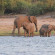 Chobe Safari Lodge 