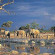 Savute Elephant Lodge, A Belmond Safari, Botswana 