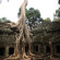 Wooden Angkor Hotel 