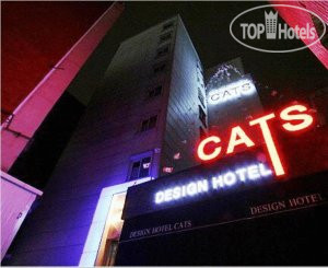 Фотографии отеля  Cats Hotel 3*