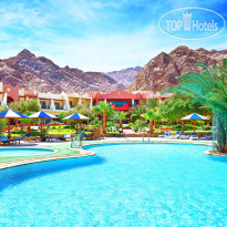 Главный бассейн в Tropitel Dahab Oasis 4*