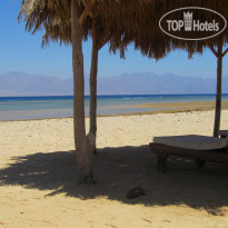 Swisscare Nuweiba Resort Hotel The beach