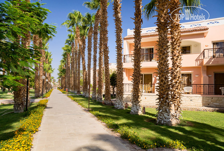 Новые добавленные фото туристов в Beach Albatros Resort - Hurghada 4*