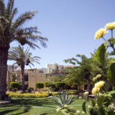 Jewels Sahara Boutique Resort 4*