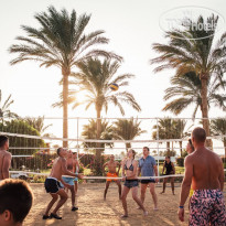 Desert Rose Resort Beach Volleyball