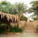Seti Abu Simbel 