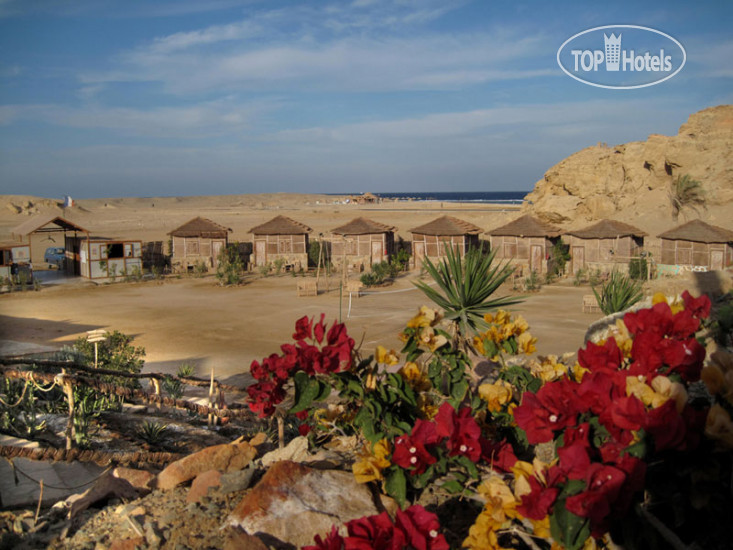 Фото Roots Luxury Camp Redsea