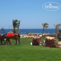 Dreams Beach Resort Marsa Alam 