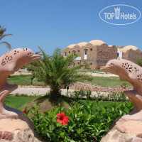 Beach Albatros Resort Marsa Alam 4*