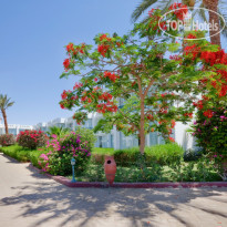 Amarante Garden Palms 