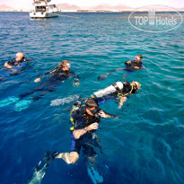 Domina Coral Bay Aquamarine 