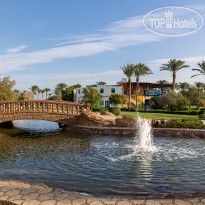 Palm Royale Resort Soma Bay Landscape