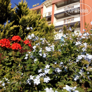 Фото отеля Гостинично-санаторный комплекс Alex Resort & Spa Hotel 4*