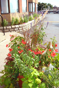 New photos from tourists в Best Western Belleville 3*