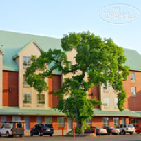 Best Western Plus Manoir Adelaide 