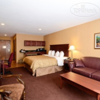 Best Western Plus Fredericton Hotel & Suites 