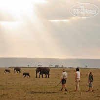 Elephant Pepper Camp Masai Mara by Elewana 
