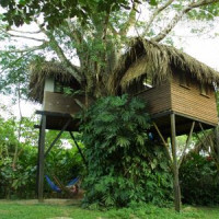 Parrot Nest Lodge 3*