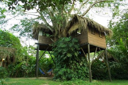 Фото Parrot Nest Lodge