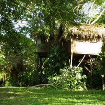 Parrot Nest Lodge 