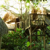 Parrot Nest Lodge 