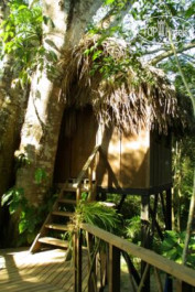 Parrot Nest Lodge 3* - Фото отеля