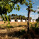 Фото Kalahari Farmhouse