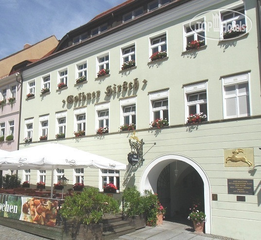 Фотографии отеля  AKZENT Hotel Goldner Hirsch 4*