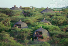 Serengeti Serena Lodge 5*