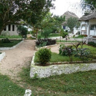 Фото отеля The Nungwi Inn 3*