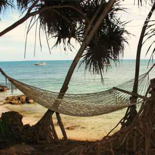 Фото отеля Fumba Beach Lodge 3*