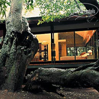 andBeyond Phinda Forest Lodge 5*