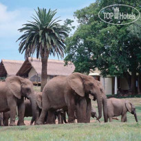 Gorah Elephant Camp 