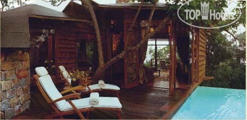 Фотографии отеля  Tsala Treetop Lodge 5*