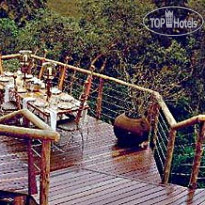 Tsala Treetop Lodge 