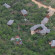 Lalibela Game Reserve Внешний вид