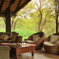 Black Rhino Game Lodge Номер