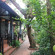 Betel Garden Homestay - Vuon Trau 