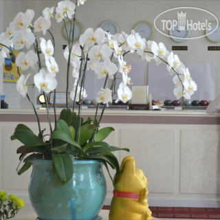 Фото отеля Muine Boutique Resort 3*