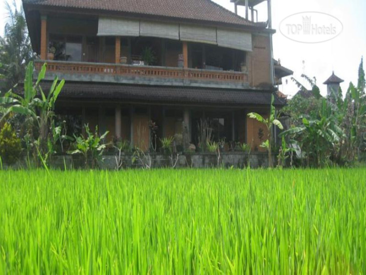 Фото Ubud Sensasi