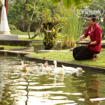 Nusa Dua Beach Hotel & Spa 