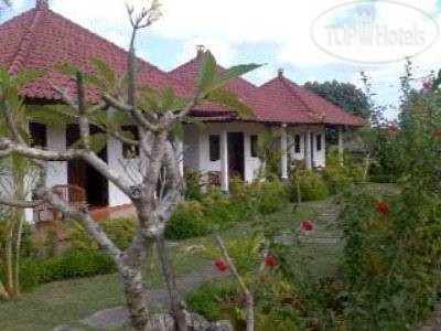 Фотографии отеля  Bingin Sari Homestay 