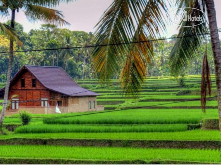 Фотографии отеля  Ibu Ubud Villa 4*