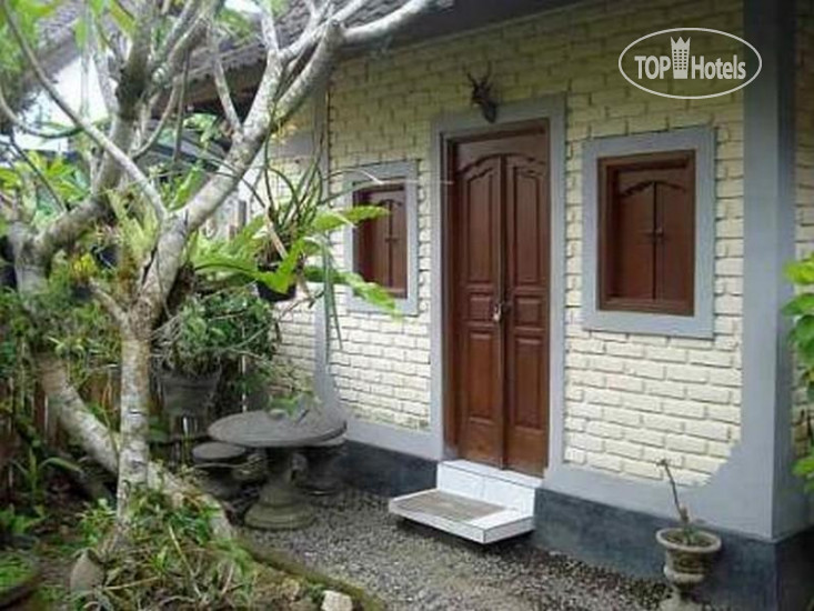 Фотографии отеля  Dana Guesthouse Bali 1*