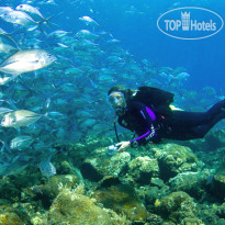 Ocean View Dive Resort Tulamben 
