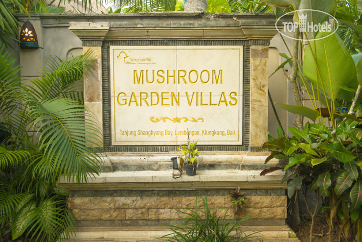 Фотографии отеля  Mushroom Garden Villas 3*