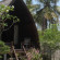 Gili Garden Bungalow 