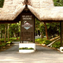 Kampung Tok Senik Resort 
